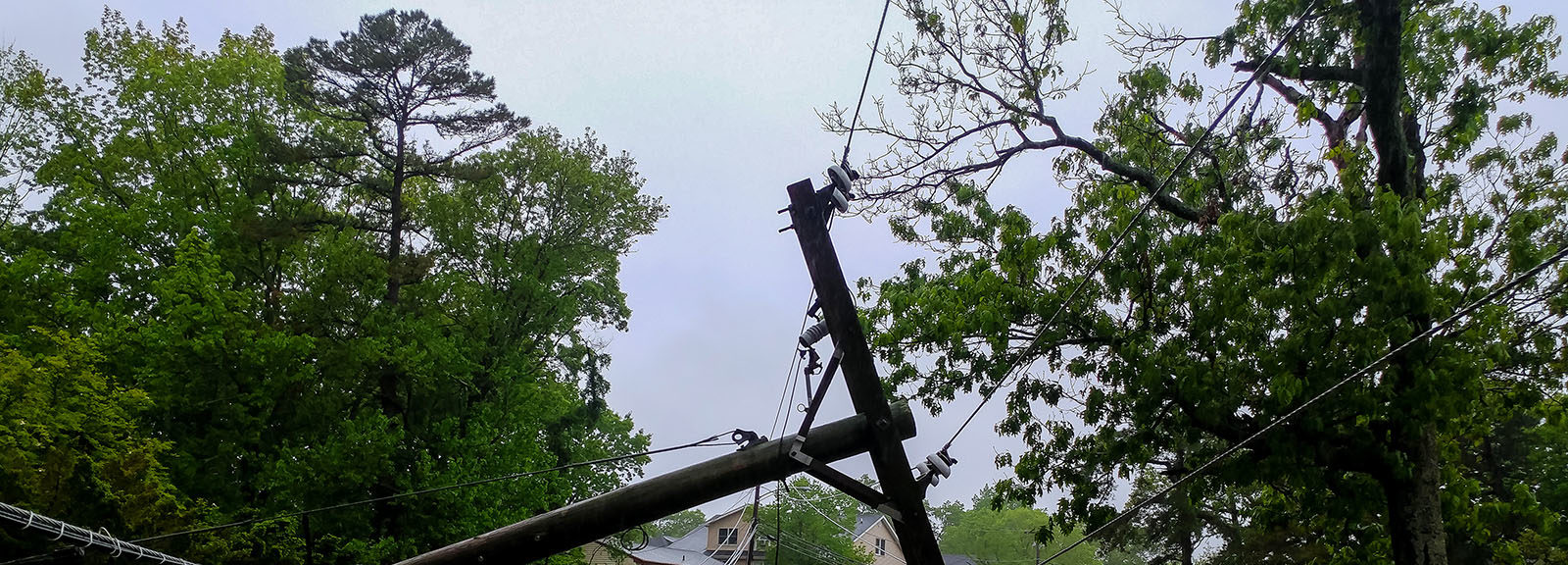 transformer on a pole and a tree laying across power lines over a road ...